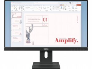 Lenovo ThinkVision E24-40 | 23,8" Full HD IPS | 100Hz | HDMI & DisplayPort | Monitor